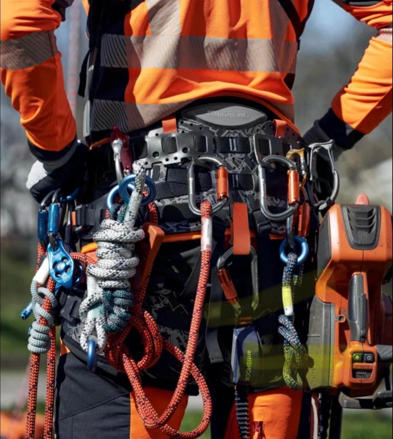 WhatsApp Image 2026-01-12 at 20.08.29