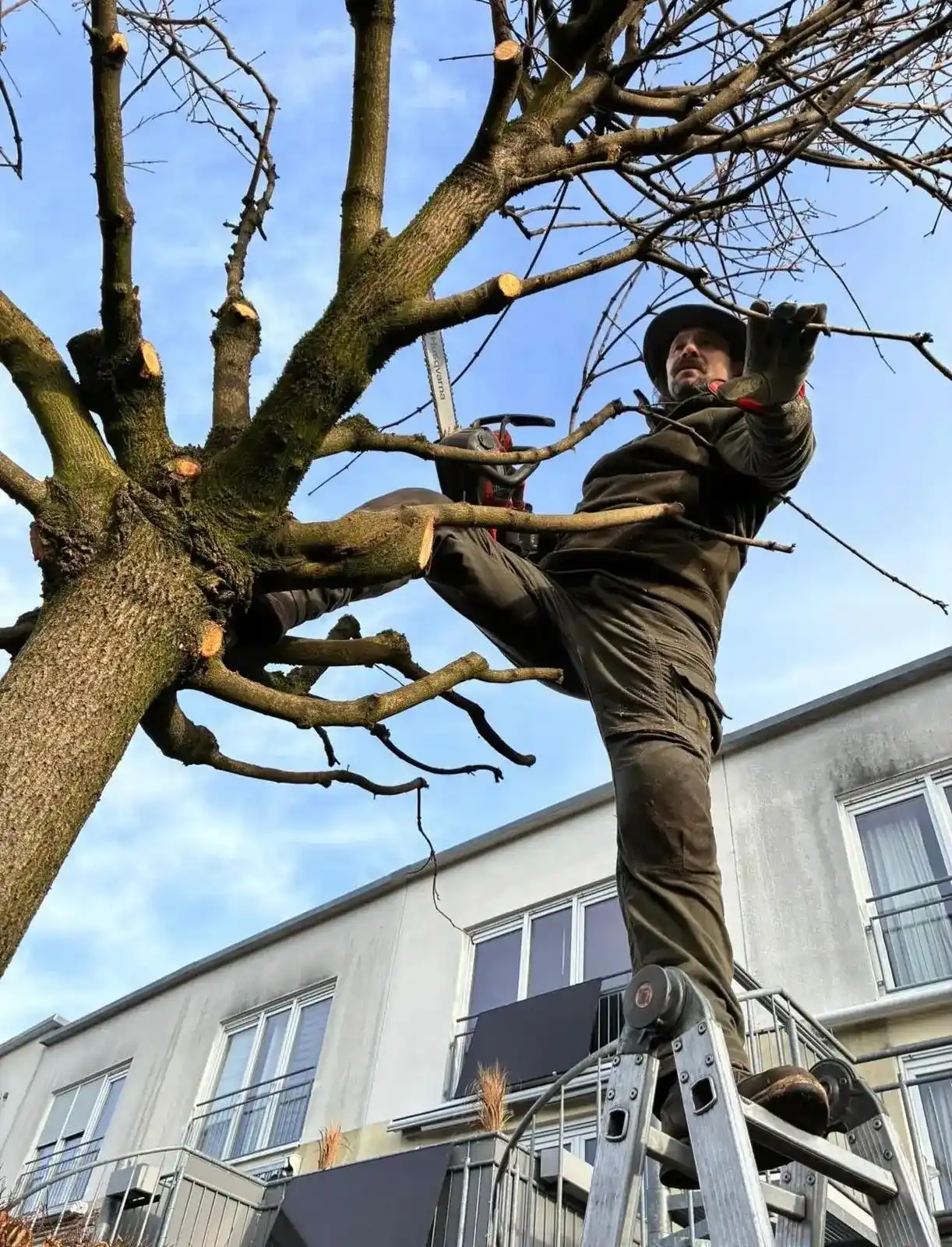 WhatsApp Image 2026-01-15 at 09.49.29_11zon